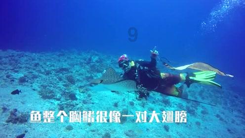 《侦察英雄》:杨帆发文表示骂白昌镐别骂他,观众:你演的太坏了