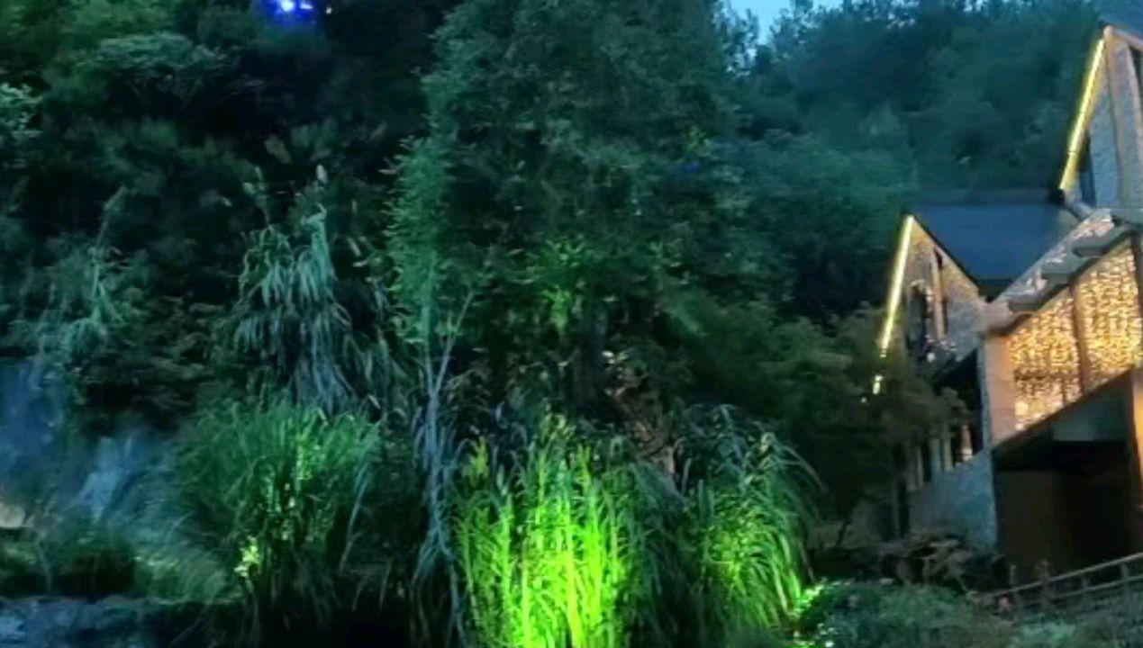逃离幽灵之林